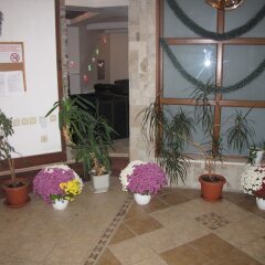 Отель Edelweiss Inn Apartments Болгария, Банско - отзывы, цены и фото номеров - забронировать отель Edelweiss Inn Apartments онлайн интерьер отеля фото 2