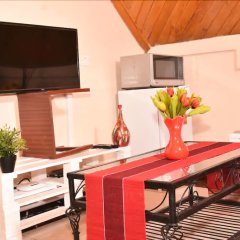 Sherry Homes Zuri Studio in Nairobi, Kenya from 116$, photos, reviews - zenhotels.com room amenities