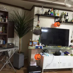 Отель JOHNNY's House развлечения