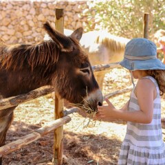 Отель Cala DellArena с домашними животными