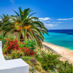 Отель SBH Club Paraíso Playa - All Inclusive Испания, Эскинсо - отзывы, цены и фото номеров - забронировать отель SBH Club Paraíso Playa - All Inclusive онлайн пляж