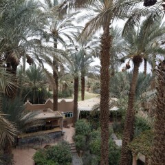 Отель Fibule du Draa - Kasbah D'Hôte Марокко, Загора - отзывы, цены и фото номеров - забронировать отель Fibule du Draa - Kasbah D'Hôte онлайн фото 4