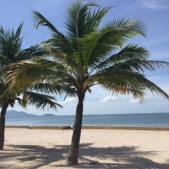 Отель The Sea House Beach Resort пляж фото 2