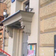 Гостиница Хостел Павелецкая Площадь в Москве - забронировать гостиницу Хостел Павелецкая Площадь, цены и фото номеров Москва фото 5