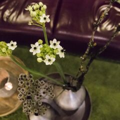 Hotel Metropol Мюнхен помещение для мероприятий