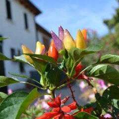 Отель Country House Bucaneve Региональный парк Colli Euganei фото 11