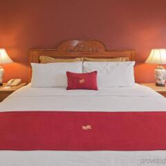 Hotel Las Americas in Guatemala City, Guatemala from 110$, photos, reviews - zenhotels.com guestroom photo 2