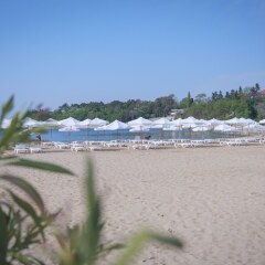 Lebed Hotel - All Inclusive пляж фото 2