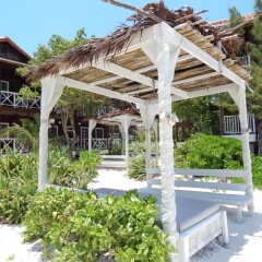Отель Mangos Boutique Beach Resort фото 4