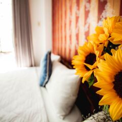 Victory Hotel Нячанг с домашними животными