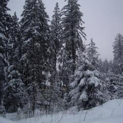 Отель Borovets Болгария, Боровец - отзывы, цены и фото номеров - забронировать отель Borovets онлайн спортивное сооружение