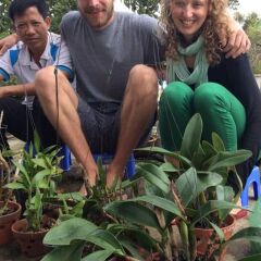 Отель Hoi An Leaf Homestay фото 2