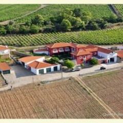Отель Quinta dos Espinheiros фото 17