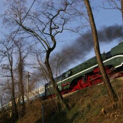Отель Altes Waschhaus Dresden Германия, Дрезден - отзывы, цены и фото номеров - забронировать отель Altes Waschhaus Dresden онлайн приотельная территория