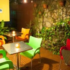 Отель Guacamaya Inn B&B Сан-Педро-Сула фото 3
