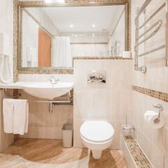 Артурс Village & SPA Hotel ванная фото 6