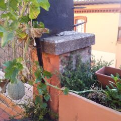 Отель B&b Al Giardino Di Alice Перуджа фото 6