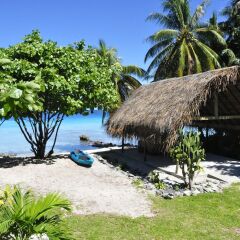 Отель Le Coconut Lodge Французская Полинезия, Рангироа - отзывы, цены и фото номеров - забронировать отель Le Coconut Lodge онлайн пляж