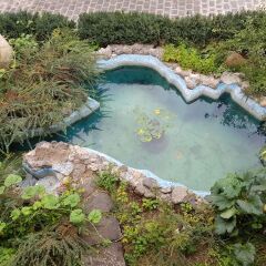 Отель Machanents Guest House пляж