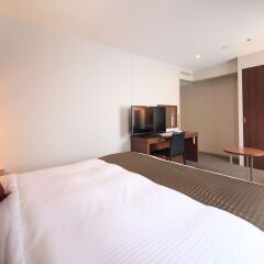 Richmond Hotel Tokyo Shiba in Tokyo, Japan from 148$, photos, reviews - zenhotels.com guestroom photo 5