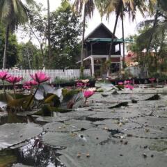 Отель Villa Oasis Luang Prabang пляж фото 2