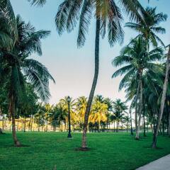 Century Hotel South Beach фото 2