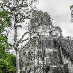 Hotel Jaguar Inn Tikal фото 11