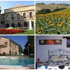 Отель B&B Il Girasole Delle Marche Мачерата фото 3
