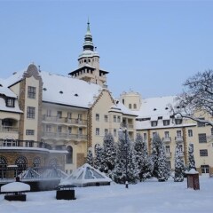 Отель Hunguest Hotel Palota Венгрия, Силвашварад - 1 отзыв об отеле, цены и фото номеров - забронировать отель Hunguest Hotel Palota онлайн фото 11