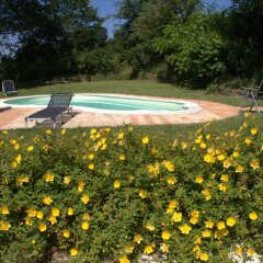 Отель B&B Il Girasole Delle Marche Мачерата бассейн