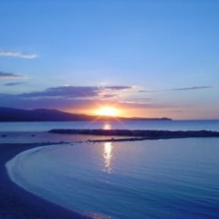 Отель Captain's Cove Beach Resort & Villas бассейн фото 2