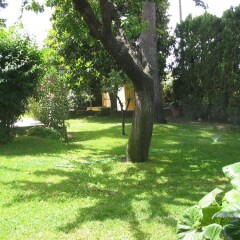 Отель B&B A Casa Di Catia Италия, Дзагароло - отзывы, цены и фото номеров - забронировать отель B&B A Casa Di Catia онлайн фото 9