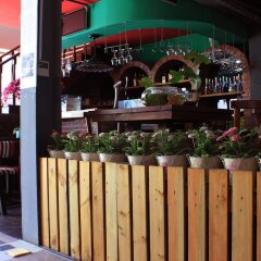Spring Time Hostel бассейн