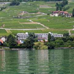 Hotel Lavaux фото 3