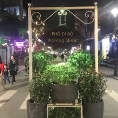 Hong Thien Backpackers Hotel городской автобус