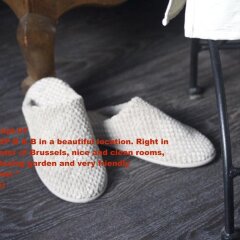 Отель B&B D&F Suites Brussels Бельгия, Брюссель - отзывы, цены и фото номеров - забронировать отель B&B D&F Suites Brussels онлайн ванная фото 2