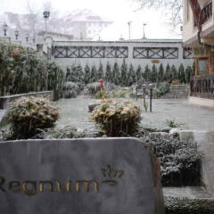 Regnum Bansko Hotel & Spa фото 7