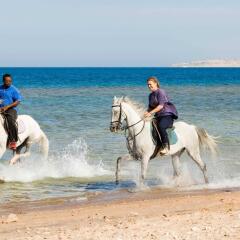 Mercure Hurghada Hotel