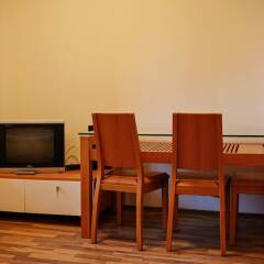 Апартаменты Pirin Heights Holiday Apartments Банско удобства в номере фото 2