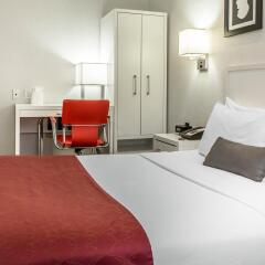 Отель The GEM Hotel - Chelsea США, Нью-Йорк - отзывы, цены и фото номеров - забронировать отель The GEM Hotel - Chelsea онлайн комната для гостей фото 5