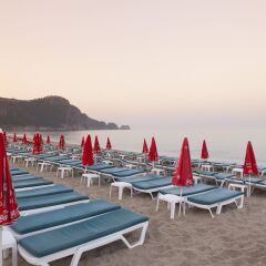 Отель Palmiye Beach Аланья приотельная территория фото 2