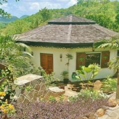 Отель Tropical Hideaway фото 8