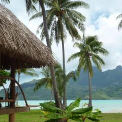 Pension Alice & Raphael in Bora Bora, French Polynesia from 305$, photos, reviews - zenhotels.com beach