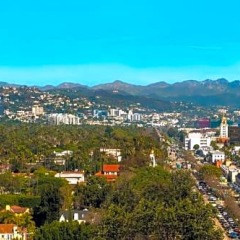 Отель Waldorf Astoria Beverly Hills Беверли Хиллс фото 4