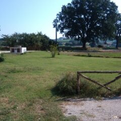 Отель Agriturismo Azienda Agricola Alfieri Озимо