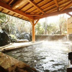 Отель Shimizu Ryokan Хидзи бассейн
