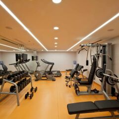 Holiday Inn Gebze - Istanbul Asia Турция, Гебзе - отзывы, цены и фото номеров - забронировать отель Holiday Inn Gebze - Istanbul Asia онлайн фитнесс-зал фото 2