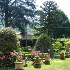 Отель Agriturismo Fattoria Di Gragnone Ареццо фото 11