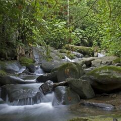 Отель Rios Tropicales бассейн