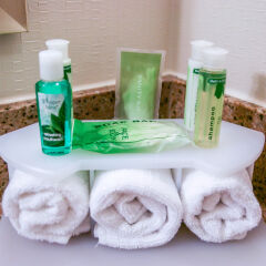 Отель Holiday Inn Express Vicksburg ванная